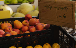 שבוע "מאדמה לאדם" (צילום:  עדן סעדה)