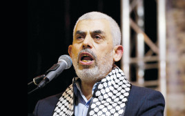 סינוואר. מבנה שיניים יחודי בעל עקמומיות ורווחים (צילום: עאבד רחים קטיב, פלאש 90)