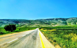 בקעת הירדן (צילום: באדיבות רות בן יוסף)