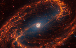 אחת הגלקסיות שצולמו על ידי טלסקופ החלל ג'יימס ווב (צילום: רויטרס)