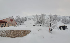 שלג בחרמון (צילום: אתר החרמון)