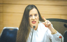 טלי גוטליב (צילום: חיים גולדברג, פלאש 90)
