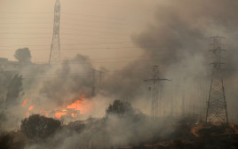 בתים בוערים על רקע התפשטות השריפות בווינה דל מאר בצ'ילה (צילום: רויטרס)