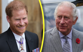 נסיך הארי, המלך צ'ארלס השלישי  (צילום:  REUTERS/Russell Cheyne,Dan Charity/Pool via REUTERS)