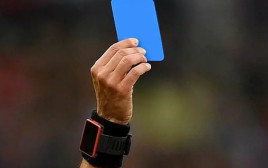 כרטיס כחול (צילום: צילום מסך, טוויטר)