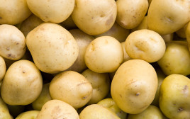 תפוחי אדמה (צילום: אינג'אימג')
