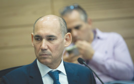 אמיר ירון, נגיד בנק ישראל (צילום: יונתן זינדל, פלאש 90)