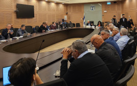הוועדה בראשות חבר הכנסת אלון שוסטר (צילום: ללא)