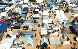 אוהלים של מפונים עזתים ברפיח (צילום: רויטרס)
