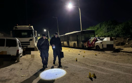 זירת הרצח בלוד (צילום: דוברות המשטרה)