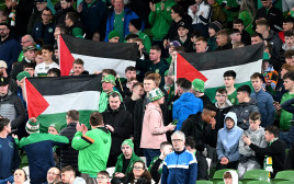 אוהדי נבחרת אירלנד מניפים דגלי פלסטין (צילום: GettyImages, Charles McQuillan)
