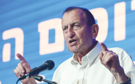 רון חולדאי (צילום: אבשלום ששוני)