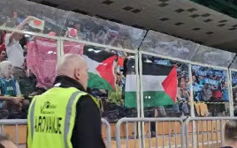 דגלי פלסטין מונפים במשחקה של סלובניה מול נבחרת ישראל (צילום: צילום מסך, איגוד הכדורסל)