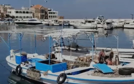 הדייגים הערבים מתלוננים על תקלות ניווט (צילום: רשתות ערביות)