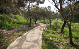 פארק האירוס (צילום: רשות מקרקעי ישראל)