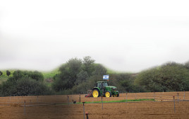 חקלאות בעוטף עזה (צילום: חיים גולדברג)