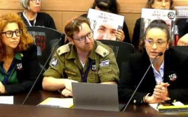 אחיו של החטוף זועם על הנציגה ממנהלת החטופים בכנסת (צילום: צילום מסך מערוץ הכנסת)