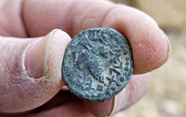 מטבע אלעזר הכהן (צילום: אוריה עמיחי, רשות העתיקות )