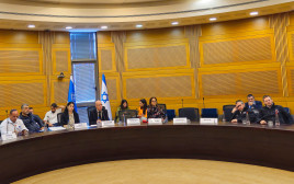 הוועדה לביטחון לאומי (צילום: דוברות הכנסת)