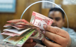 כסף מצרי (צילום:  REUTERS/Mohamed Abd El Ghany)