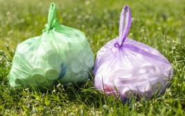 שקיות פלסטיק (צילום: ingimages.com)