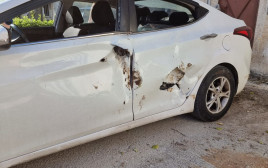 הרכב שנפגע על ידי הקרנף בספארי ברמת גן (צילום: דוברות הספארי)
