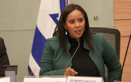 פנינה טמנו שטה (צילום: דני שם טוב, דוברות הכנסת)