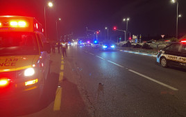 תאונת הדרכים בכביש 42 לדרום סמוך לצומת רחובות מערב (צילום: תיעוד מבצעי מד"א)
