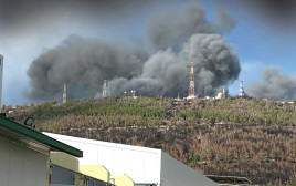 מפעל זוגלובק בשלומי במלחמה (צילום: יחצ)