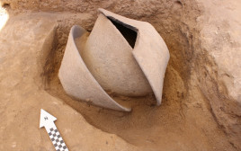 כלי השנהב השבור הוטמן בתוך קערות בזלת גדולות (צילום: דוידה דגן, רשות העתיקות)