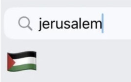 המילה 'ירושלים' והאימוג'י המוצע  (צילום: צילום מסך)