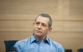 נדב ארגמן (צילום: הדס פרוש פלאש 90)