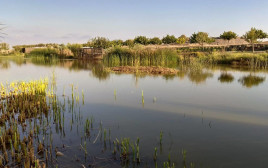 האגם בפארק אריאל שרון (צילום: איציק לביא)