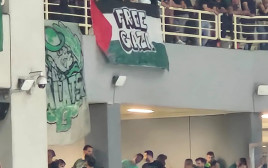 דגלי פלסטין במשחק של פנאתינייקוס מול מכבי תל אביב (צילום: מערכת וואלה, אהרל'ה ויסברג)