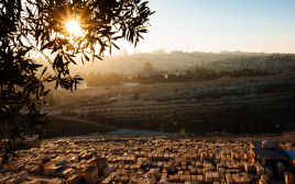 הר הזיתים (צילום: דודי ועקנין)