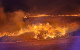 שריפות נרחבות בצפון  (צילום: דוברות כב"א)