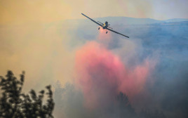 שריפה ביער ביריה (צילום: דוד כהן, פלאש 90)