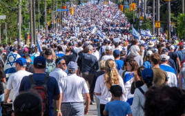צעדה למען ישראל בקנדה (צילום: ג'וש ארונסון)
