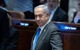 בנימין נתניהו (צילום: יונתן זינדל, פלאש 90)