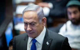 בנימין נתניהו (צילום: יונתן זינדל, פלאש 90)