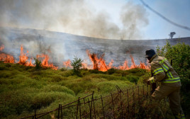 שריפה שפרצה סמוך לצפת בשל נפילת רקטה (צילום: מיכאל גלעדי, פלאש 90)