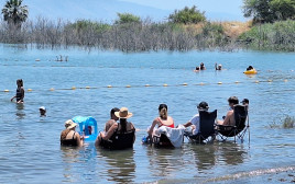 נופשים בחוף מפרץ אמנון בכנרת (צילום: אושרי בן דור, איגוד ערים כנרת)