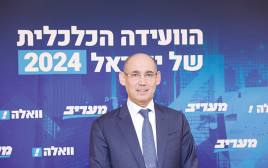 פרופ' אמיר ירון, נגיד בנק ישראל (צילום: מעריב אונליין)