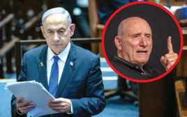 בנימין נתניהו, יצחק בריק (צילום: יוסי אלוני,יונתן זינדל, פלאש 90)