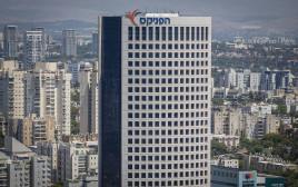 הפניקס  (צילום: יוסי אלוני פלאש 90)