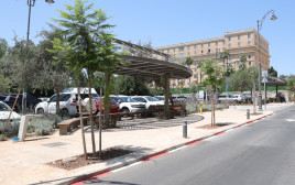 הטיילת ברחוב פול אמיל בוטה (צילום: עיריית ירושלים)