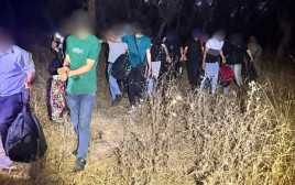 מעצר שב"חים בגלבוע (צילום: דוברות המשטרה)