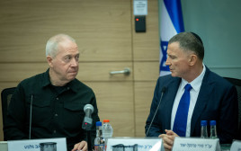 יולי אדלשטיין ויואב גלנט (צילום: יונתן זינדל,פול משרד הביטחון)
