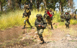 לוחמי מילואים ברמת הגולן  (צילום: מיכאל גלעדי, פלאש 90)