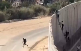 שב"חים על סולם (צילום: צילום מסך רשתות ערביות)
